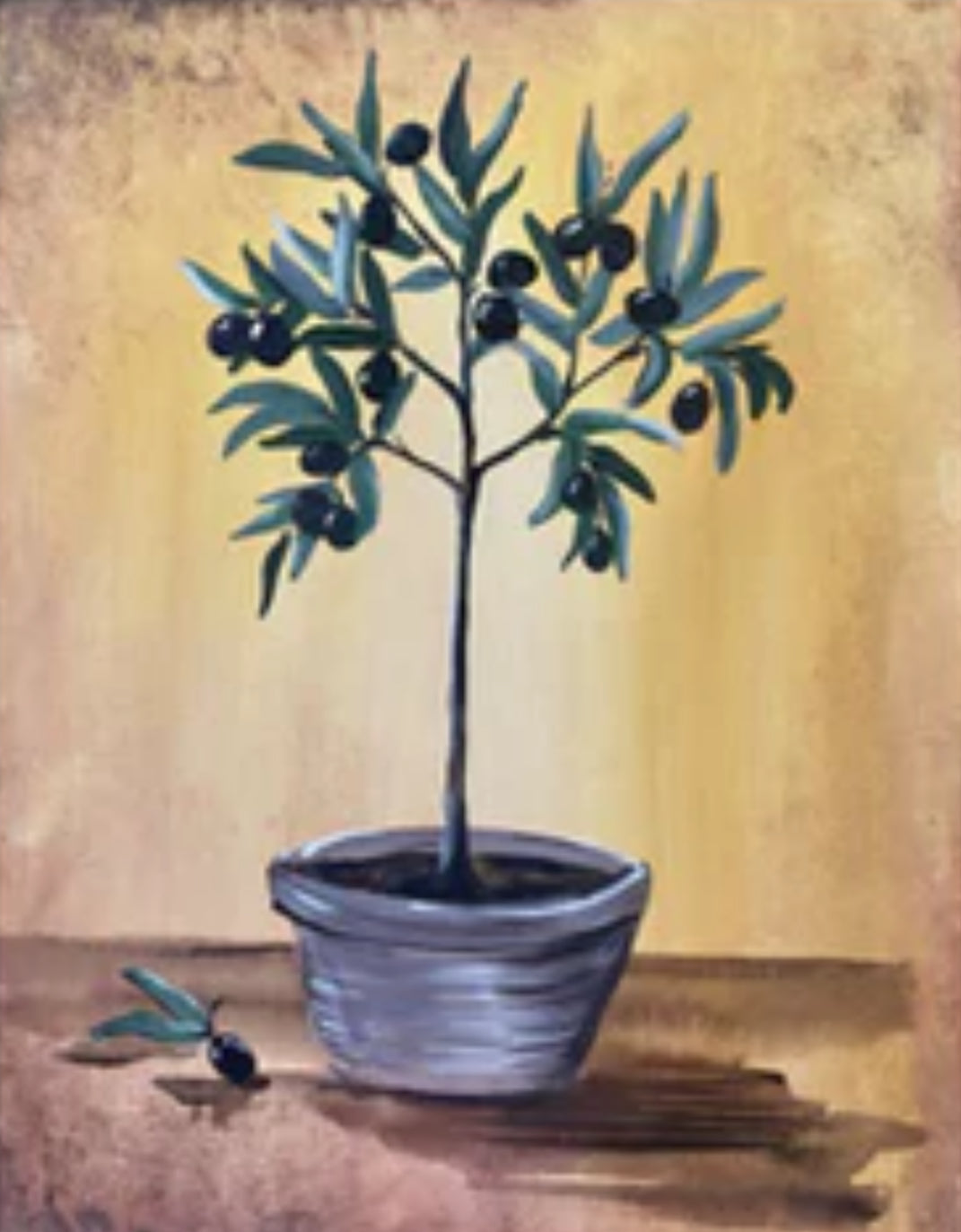 OLIVE TREE